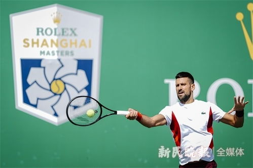 德约科维奇：距离职业生涯百冠还有多远？