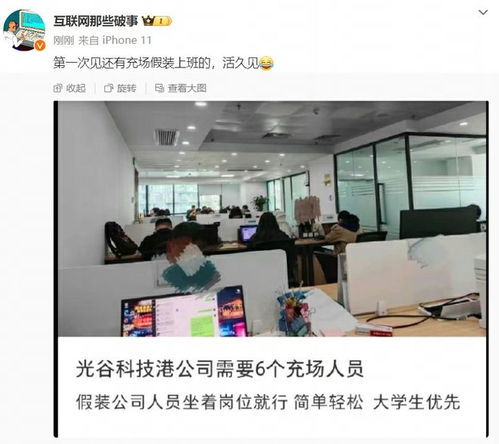 我在公司假装上班：一个职场人的自我救赎