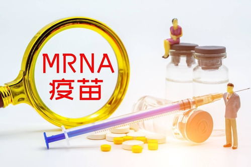 mRNA技术在兽用疫苗中的应用：猪蓝耳病（PRRS）疫苗的研究与进展