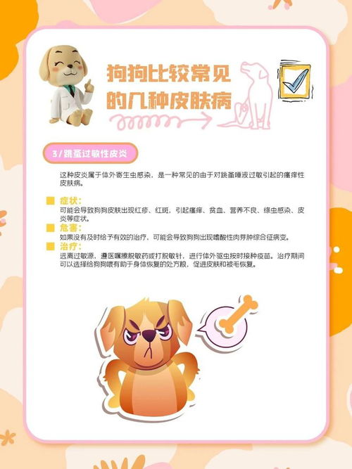 回归舒适圈：狗狗皮肤问题的“吃住行”解决方案