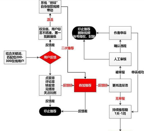 抖音首次公开推荐算法原理：一场技术与透明的对话