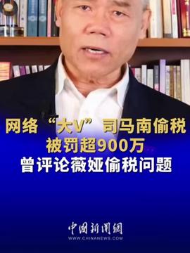 司马南偷税案：公众人物的税务责任与社会影响