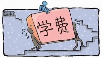 在犹豫中前行：那些内心挣扎后的成长