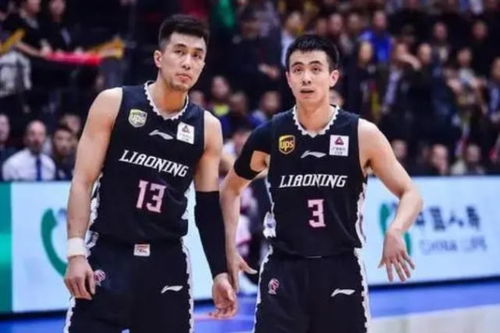 辽宁男篮：底蕴与实力并存的王者之师