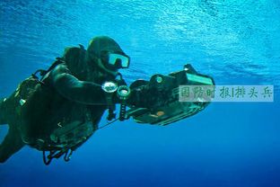 美国海豹突击队被活捉？真相大揭秘！