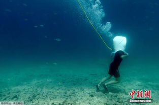 泰国潜水员拍下地震时鱼群罕见画面：海底世界的震撼瞬间