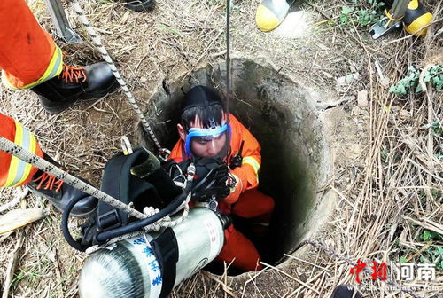 河南襄城枯井中发现近百名烈士遗骸，最小不满15岁：震撼人心的历史记忆