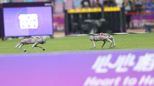 押中“七龙珠”中的两个：宇树与Rokid早期投资人的独家对话