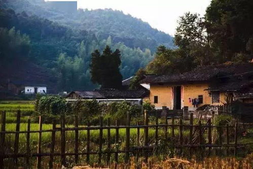 福建长汀县半山腰惊现数百违规墓穴：背后的利益链条与法律红线