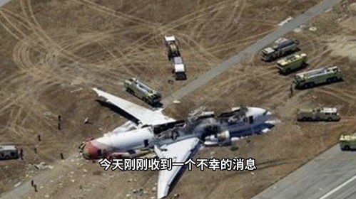 美国又一架小型飞机坠毁！现场惨烈，真相令人深思