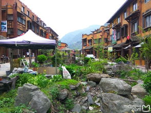 寒潮中的一碗热汤：深圳峪园里的温度