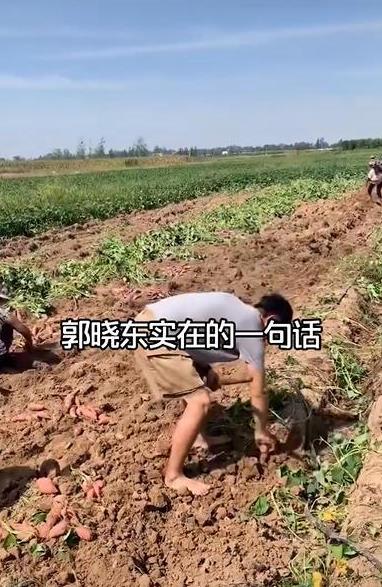 今天又下地干活了：平凡生活中的真实写照