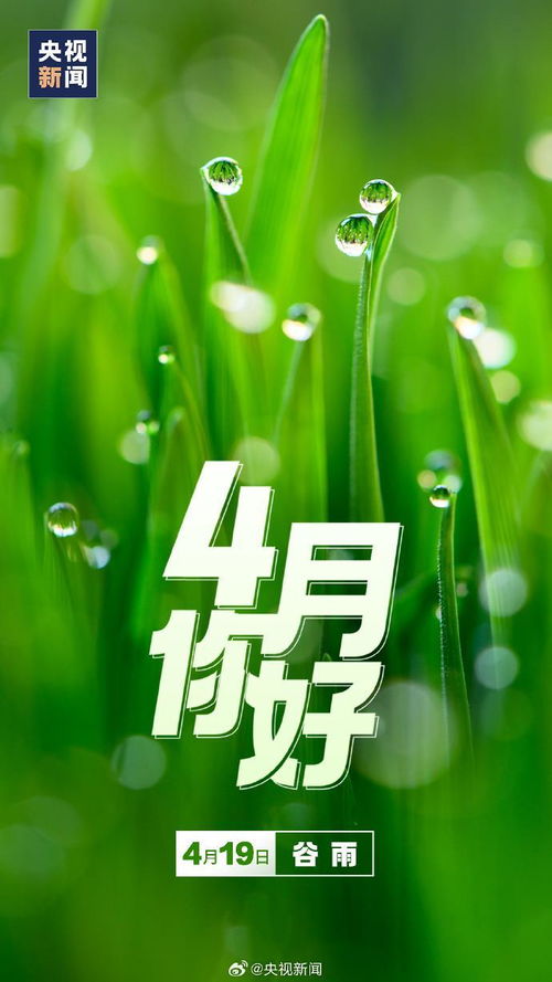 4月一起加油：在春天里追逐梦想