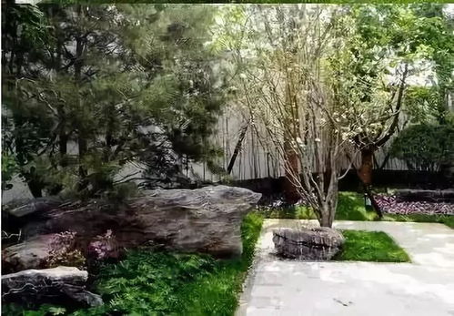 中国园林有朵石做的云：从何园到海派园林的诗意之美