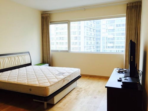 租房五年真相：妻子健康亮红灯，甲醛超标背后的心酸故事