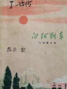 【原创小说_向阳之地】第十章：人生中的大雨