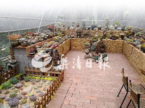 男子花500万买到「坟景房」，最近的仅30米！能找开发商退房索赔吗？