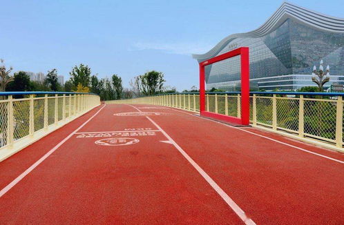 校园霸凌的边界：成都初中生事件引发深思