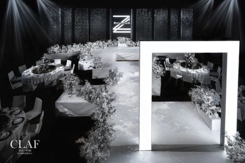 黑与白的交响：一场关于选择和平衡的心灵之旅