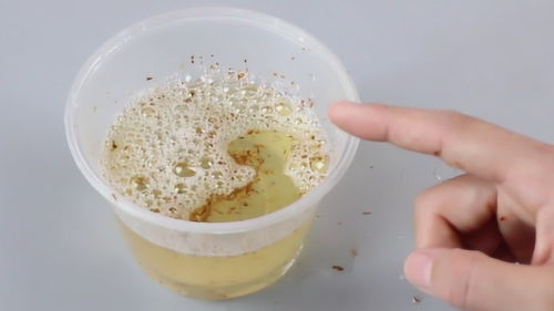 泡一泡：生活中的小确幸