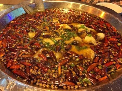 甲亢哥挑战成都火锅：辣到上蹿下跳，却赞不绝口