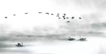 风，乍起：一场与自然的邂逅