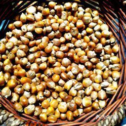 去吃黑土风情，领略舌尖上的东北味道