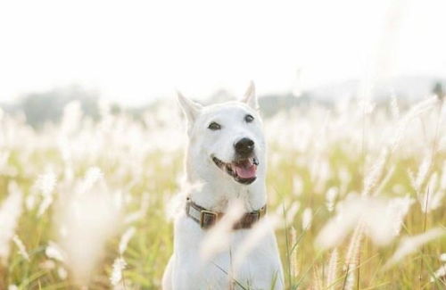 你以为的低谷，其实是发芽前的准备