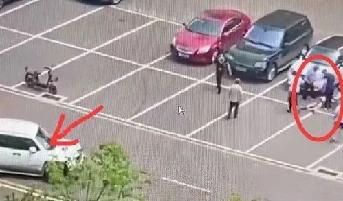 男子开车反复碾压他人致死被刑拘：悲剧背后的法律责任与反思