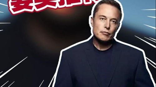 马斯克第13个孩子背后的故事：一个父亲的复杂家庭