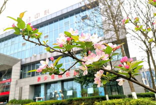 春满凯园：一场社区里的文化盛宴