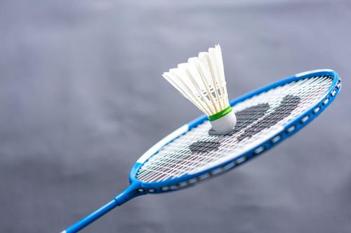 羽毛球价格两年翻倍，比黄金还猛！球友直呼打不起