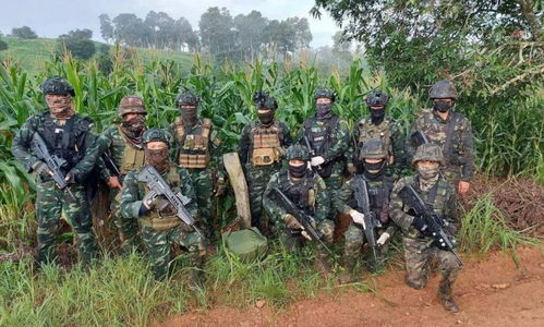 中国救援力量在缅甸地震中的感人故事