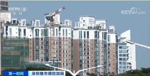 一线城市约50%人口在租房：年轻人的选择与挑战