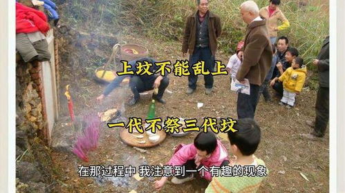 “一代不祭三代坟”，清明上坟讲究多，这点一定要注意