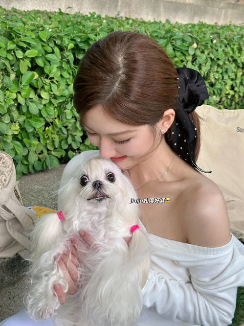 赵露思与小狗平安的温馨日常：治愈系偶像的力量