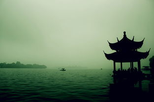 雾失楼台烟雨中：一场与自然的深情对话