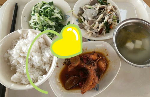 单位的午饭：一场关于健康与幸福的探索