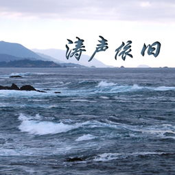 涛声依旧19：一场关于青春与记忆的旅程