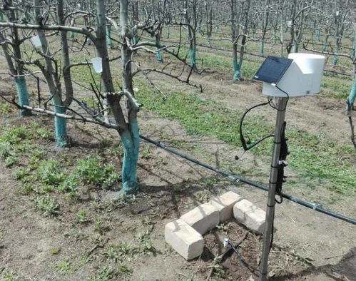 石头纸在农业领域的场景是什么？带你深入了解