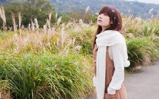 椰岛晓露与三平姐的深情故事：写在《你是我的三平》突破30万字之际