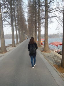 开始新的旅程：从迷茫到坚定的蜕变