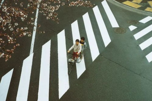 若提前知晓“已存在”的道路故障，这场“辅助驾驶”悲剧或可避免