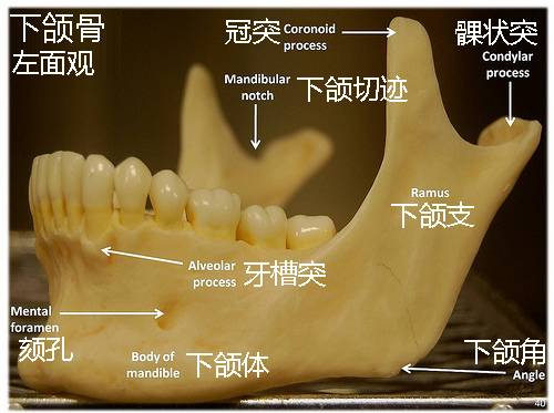 女牙医自己拔智齿，全程面不改色！背后的故事令人敬佩