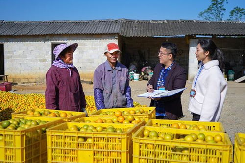 用好调查研究“传家宝”，为强国复兴注入新动力