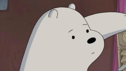 心疼小白熊：一个温暖与泪水交织的故事