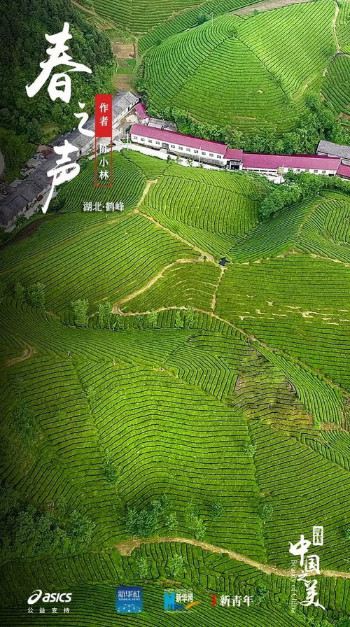 年均超亿亩！全球增绿最快最多，我国“绿色家底”不断增厚