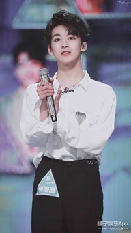 何洛洛与生命树：一场音乐与自然的奇妙邂逅