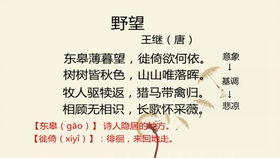 为什么你的作品没有流量？这是我亲测有效的解决办法