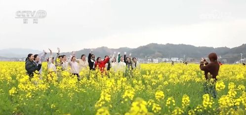 跨界融合激发春日消费新活力